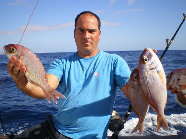 Red Snappers Cavalier & Blue Marlin Sport Fishing Gran Canaria