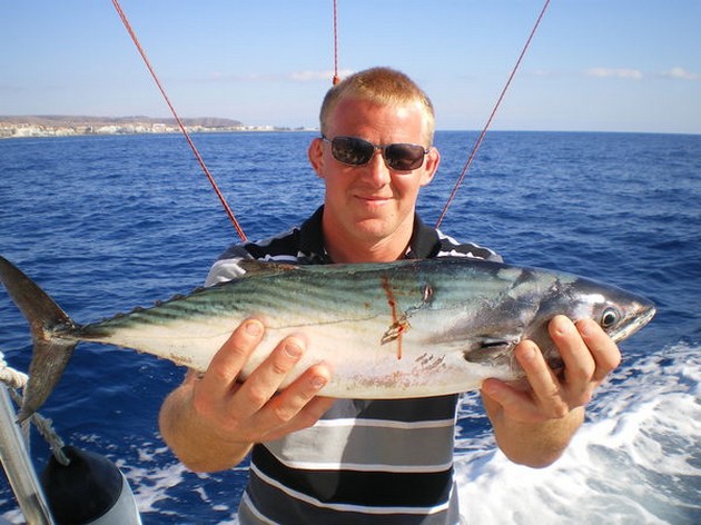 Atlantic Bonito Cavalier & Blue Marlin Sport Fishing Gran Canaria