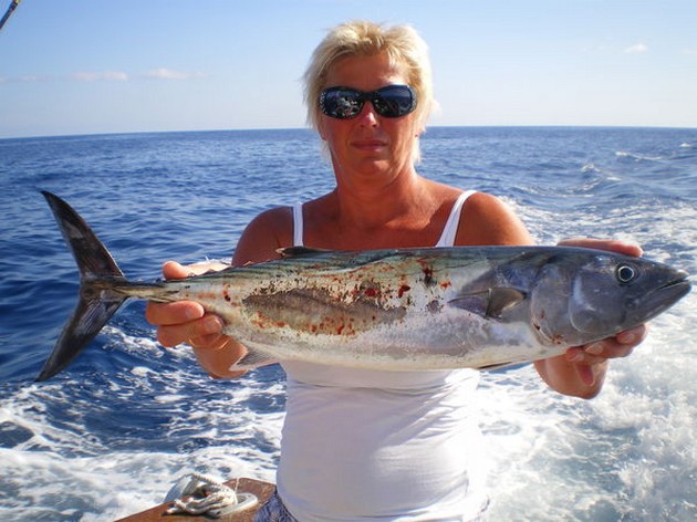 Atlantic Sierra Tuna Cavalier & Blue Marlin Sport Fishing Gran Canaria