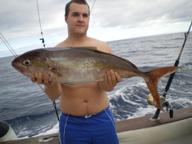 Amberjack Cavalier & Blue Marlin Sport Fishing Gran Canaria