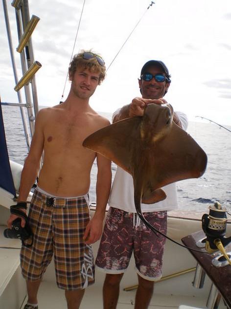 Eagle Ray Cavalier & Blue Marlin Sport Fishing Gran Canaria