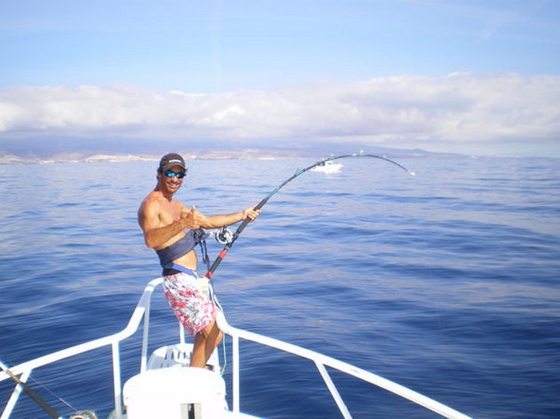 Stora fångster Cavalier & Blue Marlin Sport Fishing Gran Canaria