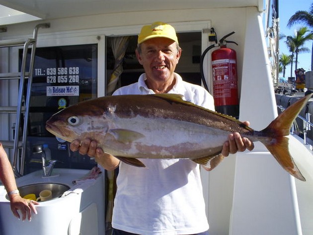 Amberjack Cavalier & Blue Marlin Sport Fishing Gran Canaria