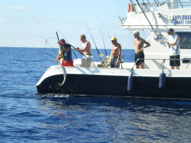  - Cavalier & Blue Marlin Sport Fishing Gran Canaria