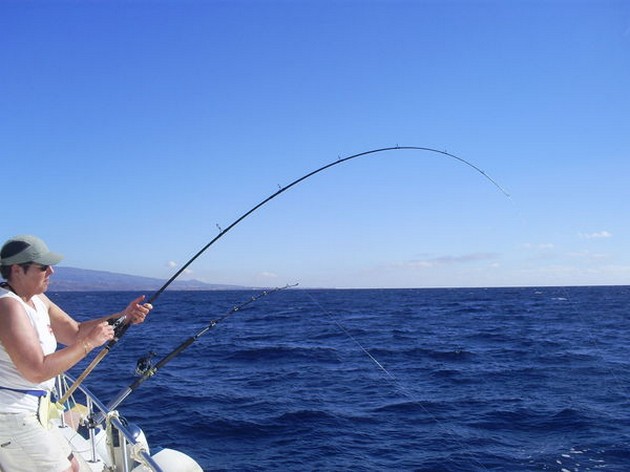 24/11 Hooked Up Cavalier & Blue Marlin Sport Fishing Gran Canaria
