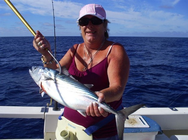 Atlantic Sierra Tuna Cavalier & Blue Marlin Sport Fishing Gran Canaria