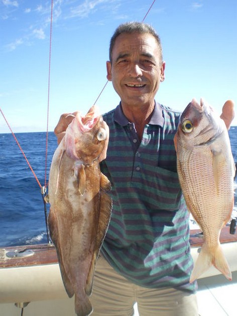 Congratulations Cavalier & Blue Marlin Sport Fishing Gran Canaria