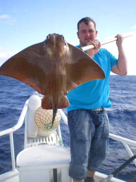 Eagle Ray Cavalier & Blue Marlin Sport Fishing Gran Canaria