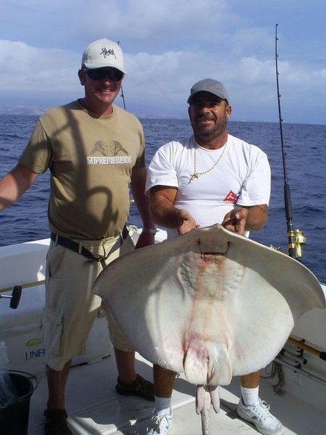 Roughtail Stingray Cavalier & Blue Marlin Sport Fishing Gran Canaria
