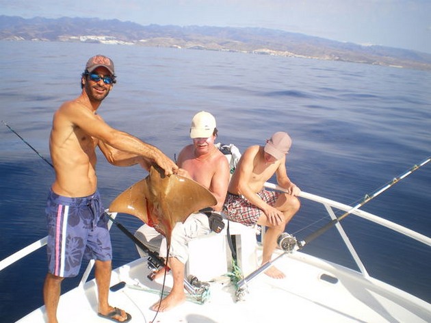 11,3 kg Amberjack Cavalier & Blue Marlin Sport Fishing Gran Canaria