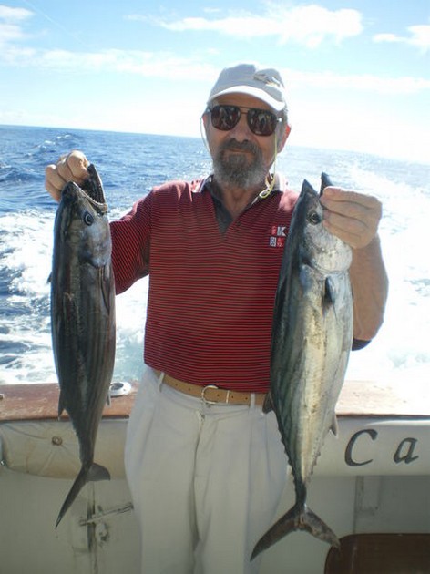 Atlantic Sierra Tuna Cavalier & Blue Marlin Sport Fishing Gran Canaria