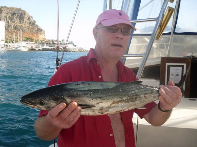 Atlantic Sierra Tuna Cavalier & Blue Marlin Sport Fishing Gran Canaria