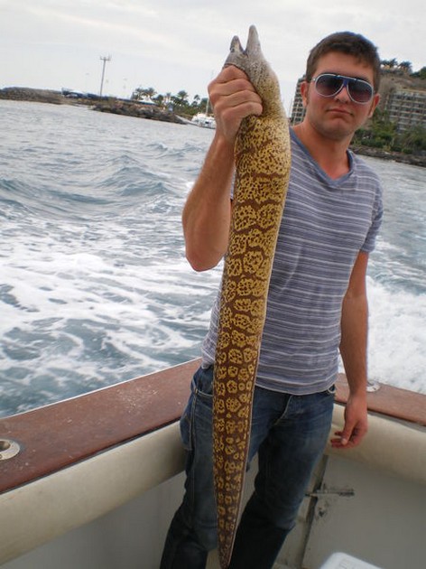 15/12 Tiger Moray Cavalier & Blue Marlin Sport Fishing Gran Canaria