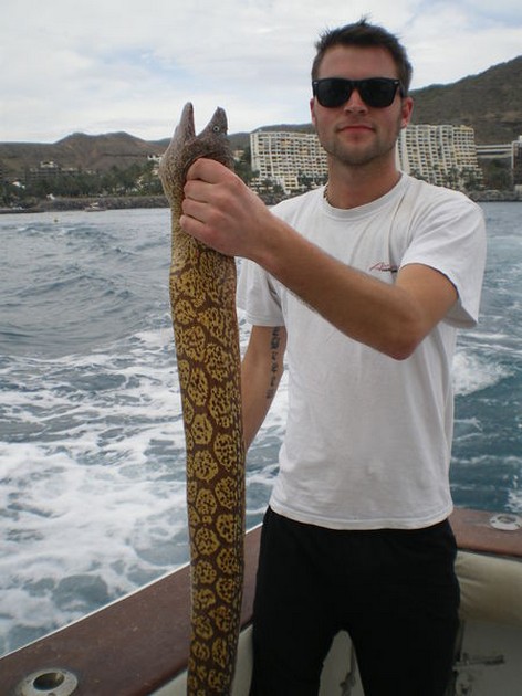 Tiger Moray Cavalier & Blue Marlin Sport Fishing Gran Canaria
