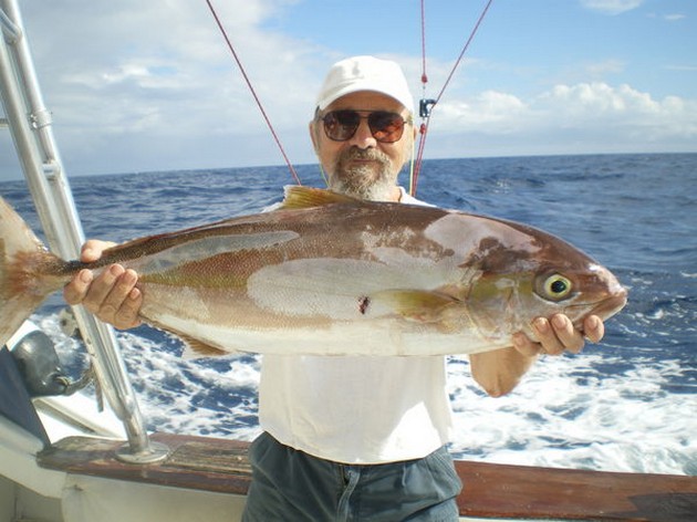 Amberjack Cavalier & Blue Marlin Sport Fishing Gran Canaria