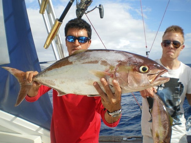 Amberjack Cavalier & Blue Marlin Sport Fishing Gran Canaria
