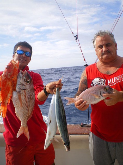 Small Reef Fish Cavalier & Blue Marlin Sport Fishing Gran Canaria