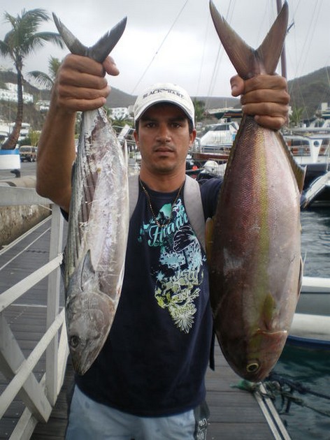 Amberjack - Sierra Cavalier & Blue Marlin Sport Fishing Gran Canaria