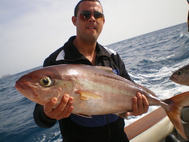Amberjack Cavalier & Blue Marlin Sport Fishing Gran Canaria