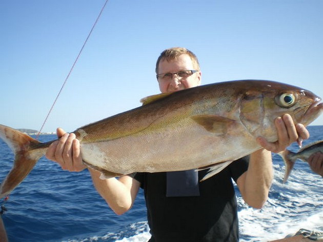 11/01 Amberjack Cavalier & Blue Marlin Sport Fishing Gran Canaria