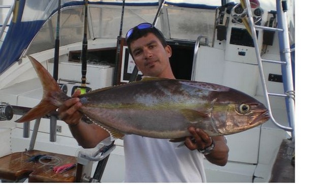 Amberjack Cavalier & Blue Marlin Sport Fishing Gran Canaria