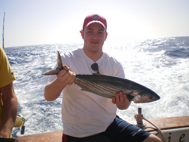 Atlantic Sierra Tuna Cavalier & Blue Marlin Sport Fishing Gran Canaria
