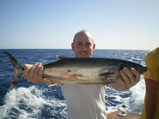 Atlantic Sierra Tuna Cavalier & Blue Marlin Sport Fishing Gran Canaria