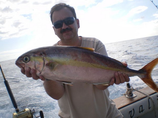Amberjack Cavalier & Blue Marlin Sport Fishing Gran Canaria