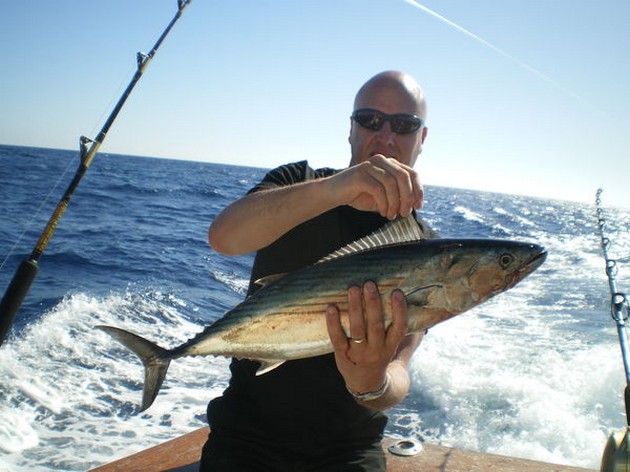 Atlantic Sierra Tuna Cavalier & Blue Marlin Sport Fishing Gran Canaria