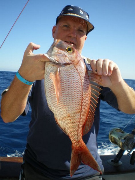 Red Snapper Cavalier & Blue Marlin Sport Fishing Gran Canaria