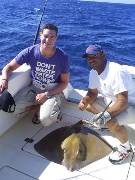 Common Stingray Cavalier & Blue Marlin Sport Fishing Gran Canaria