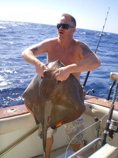 Roughtail Stingray Cavalier & Blue Marlin Sport Fishing Gran Canaria