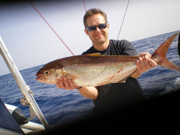 Amberjack Cavalier & Blue Marlin Sport Fishing Gran Canaria