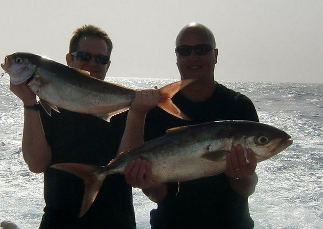 Amberjack Cavalier & Blue Marlin Sport Fishing Gran Canaria