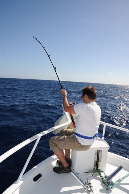 Hooked Up Cavalier & Blue Marlin Sport Fishing Gran Canaria