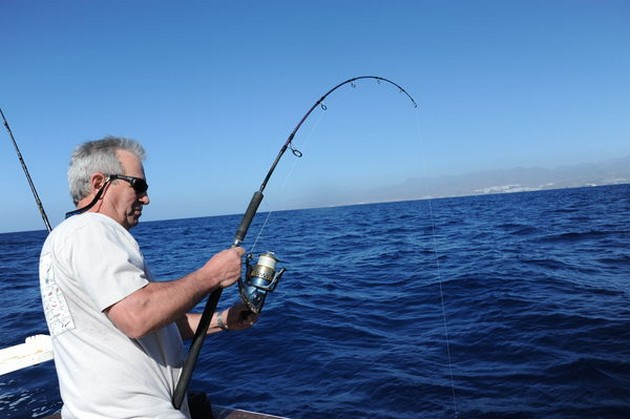 Hooked up Cavalier & Blue Marlin Sport Fishing Gran Canaria