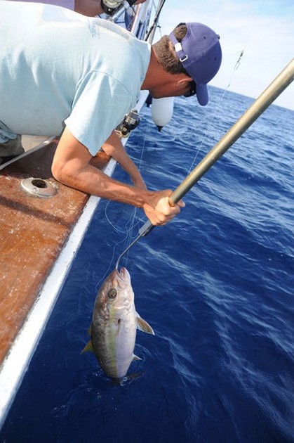 Hook Up Cavalier & Blue Marlin Sport Fishing Gran Canaria