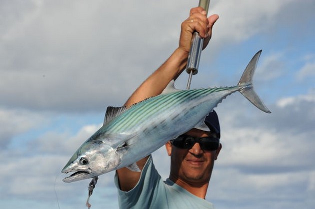 Atlantic Sierra Tuna Cavalier & Blue Marlin Sport Fishing Gran Canaria