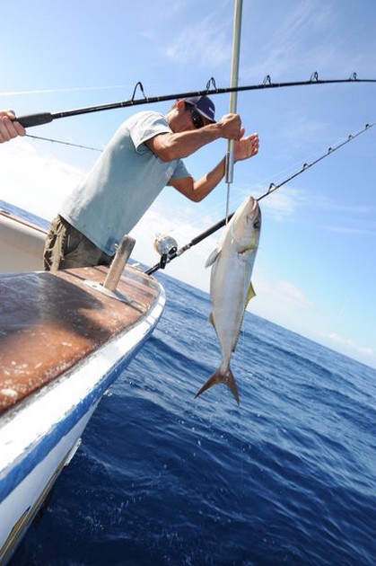 boat Cavalier Cavalier & Blue Marlin Sport Fishing Gran Canaria