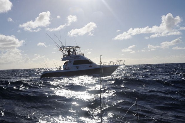 Våra fiskeresor - Cavalier & Blue Marlin Sport Fishing Gran Canaria