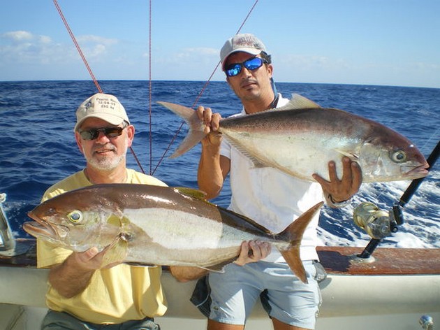 01/02 Amberjacks Cavalier & Blue Marlin Sport Fishing Gran Canaria