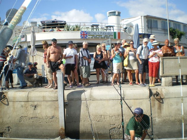 Geweldige Start Cavalier & Blue Marlin Sport Fishing Gran Canaria