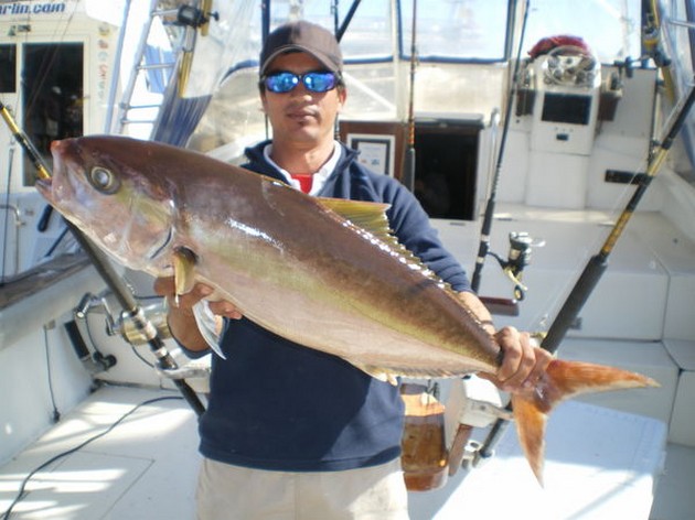 07/02 Amberjack Cavalier & Blue Marlin Sport Fishing Gran Canaria