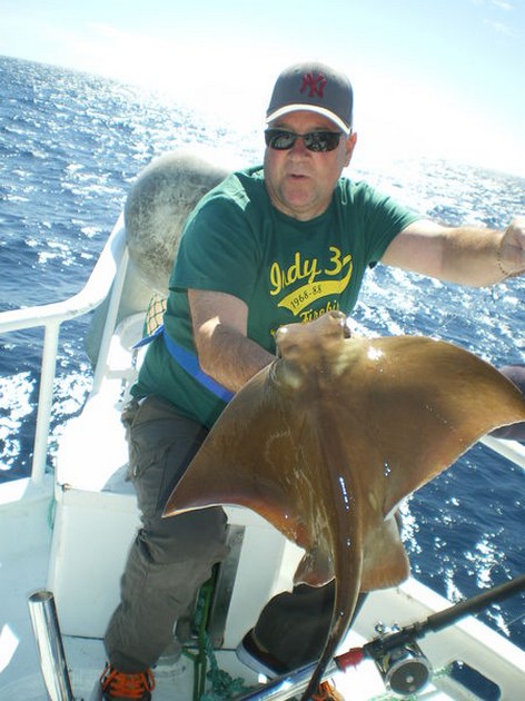 Eagle Ray Cavalier & Blue Marlin Sport Fishing Gran Canaria