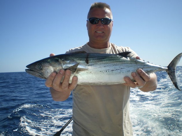 Atlantic Sierra Tuna Cavalier & Blue Marlin Sport Fishing Gran Canaria