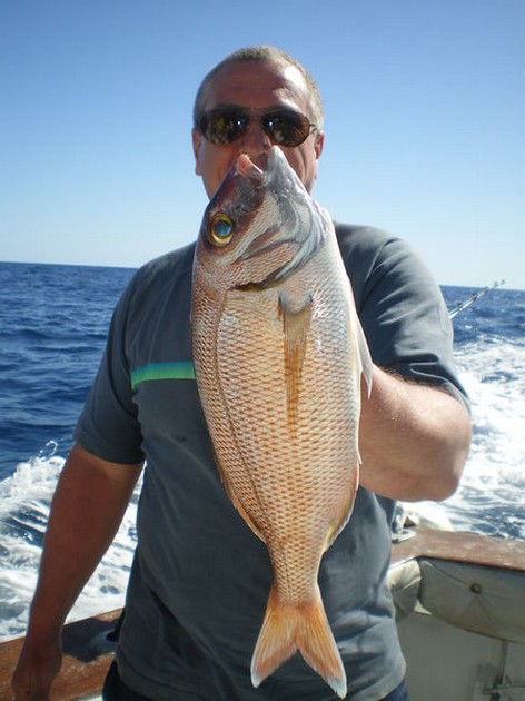 Red Snapper Cavalier & Blue Marlin Sport Fishing Gran Canaria
