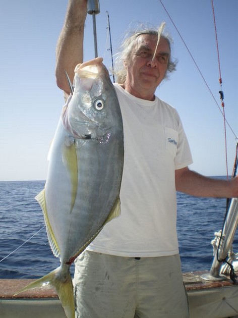 Crevalle Jack Cavalier & Blue Marlin Sport Fishing Gran Canaria