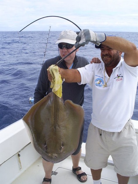 Common Stingray Cavalier & Blue Marlin Sport Fishing Gran Canaria