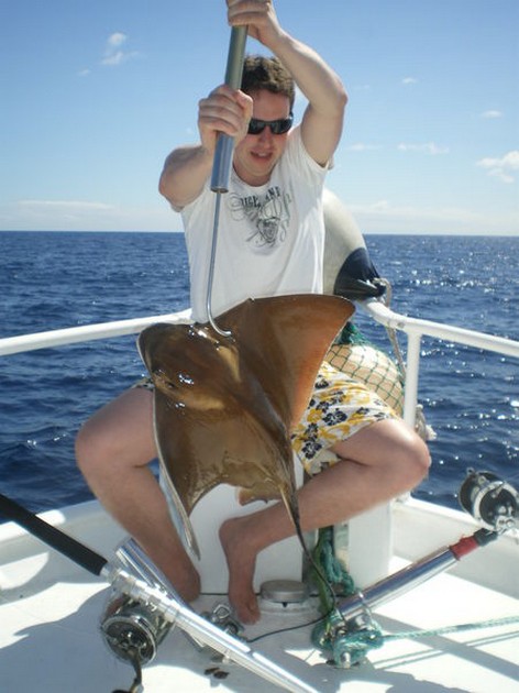 Eagle Ray Cavalier & Blue Marlin Sport Fishing Gran Canaria