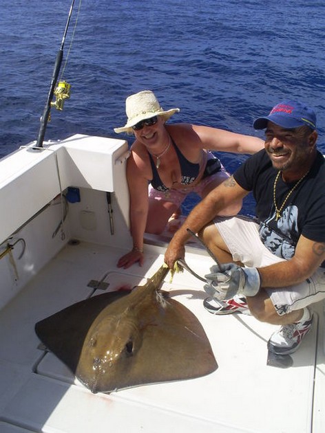 Common Stingray Cavalier & Blue Marlin Sport Fishing Gran Canaria